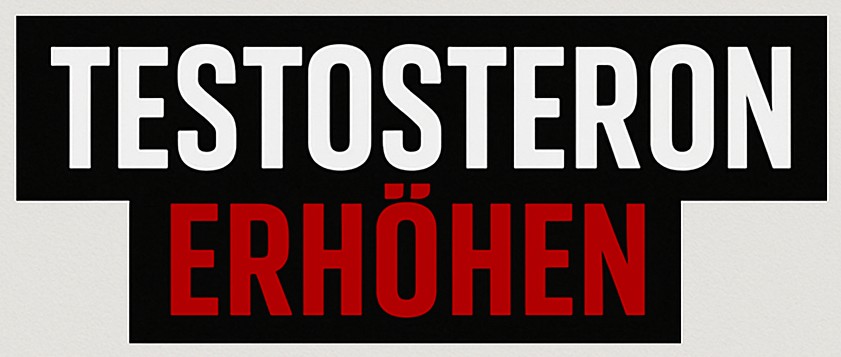 Testosteron erhöhen